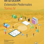 Experiencias investigativas en la ULEAM Tomo IV